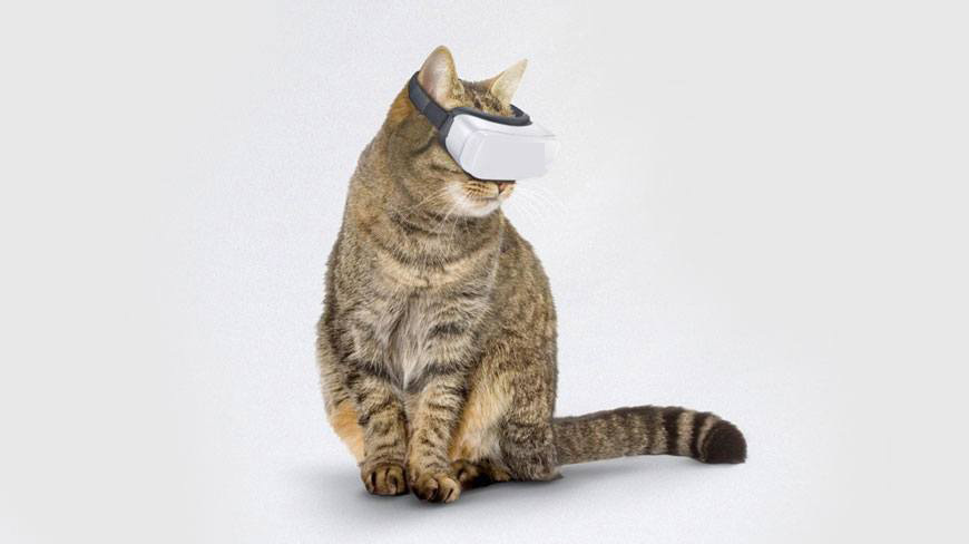 Кот вр. Котик VR. Кот в VR очках. Кот в ВР шлеме. Виртуальные животные